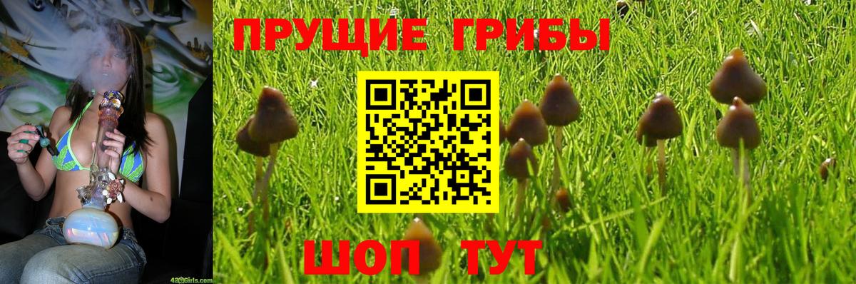 Псилоцибиновые грибы Magic Shrooms Батайск